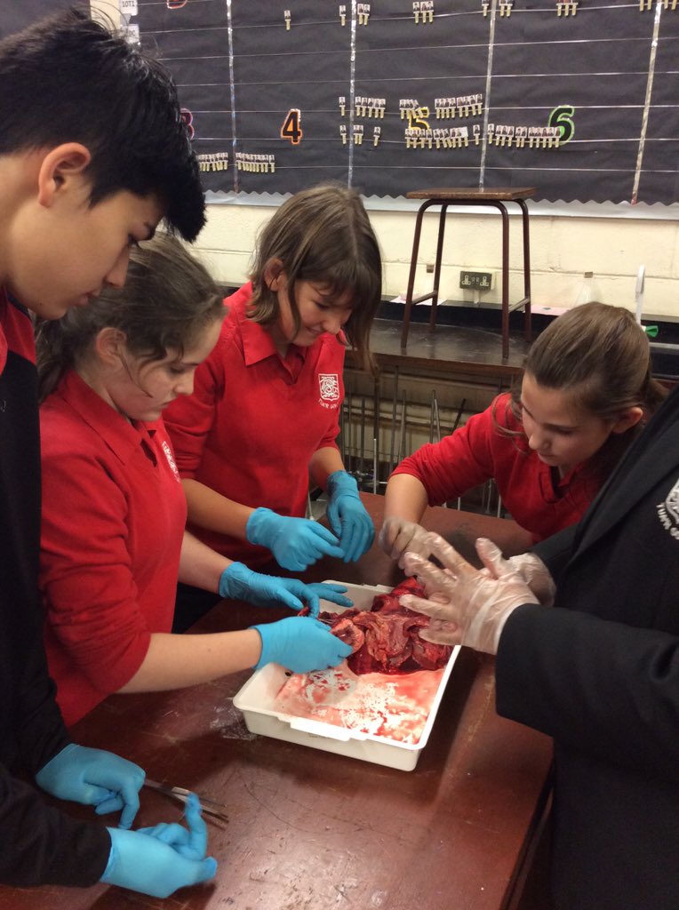 There was some messy but awesome dissection going on! #CHSScienceClub