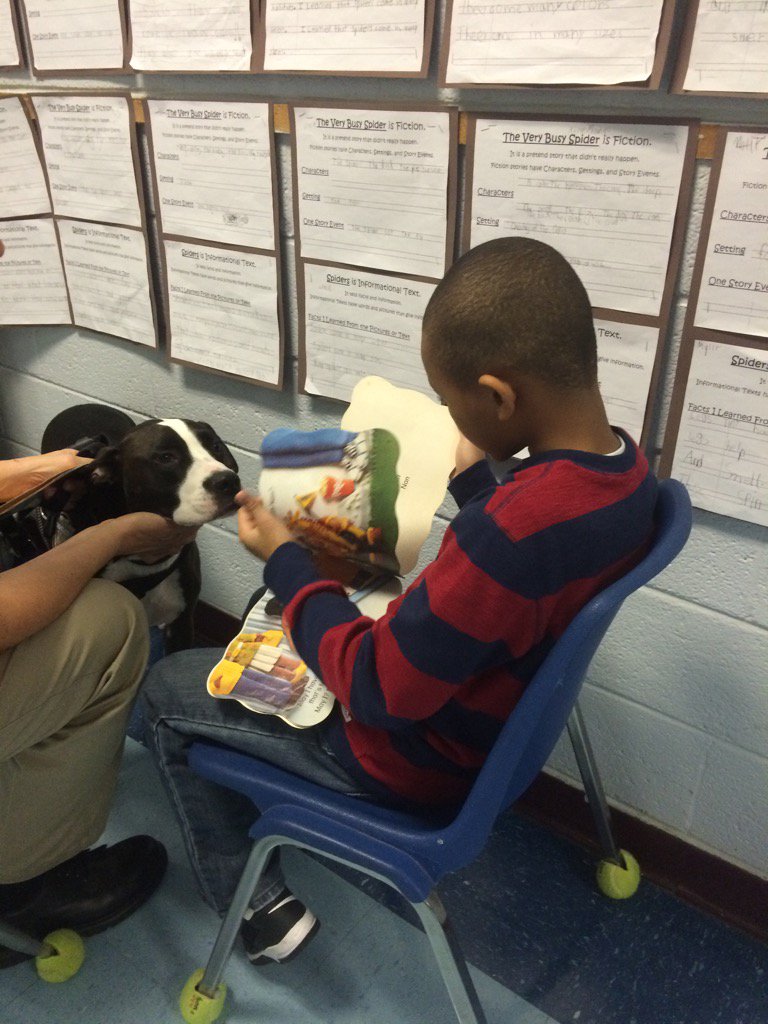 First graders read to our school's ambassador dogs as a part of Reader's Workshop today! #tatemtigerpride