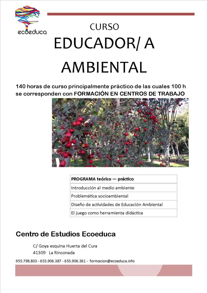Ecoeduca S. C. A. tweet media