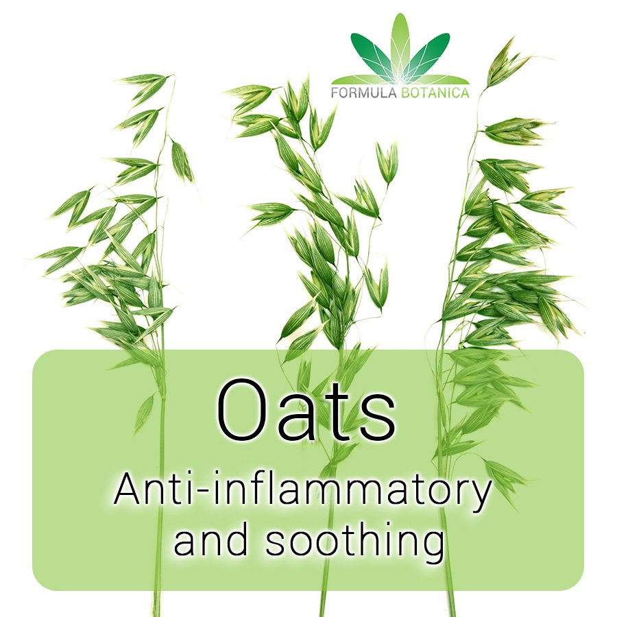 FormulaBotanica's tweet photo. #Skincare Ingredient Tip: Oats are known for their anti-inflammatory and soothing properties for the #skin. https://t.co/qz3XwuCJ4D