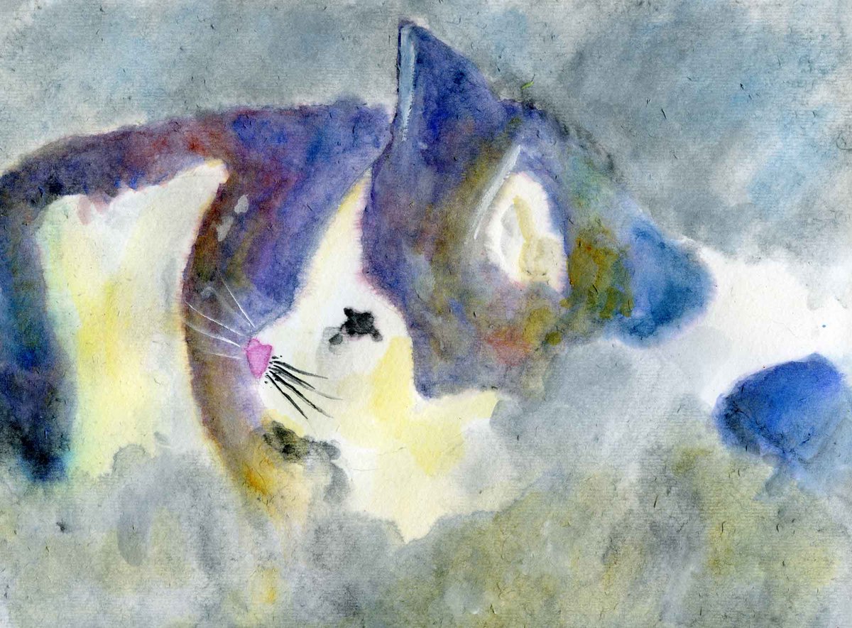 revjesse's tweet photo. Black and white cat https://t.co/nq1appmPiz #art #painting #FreePandP https://t.co/IzEHqDQ0Nt