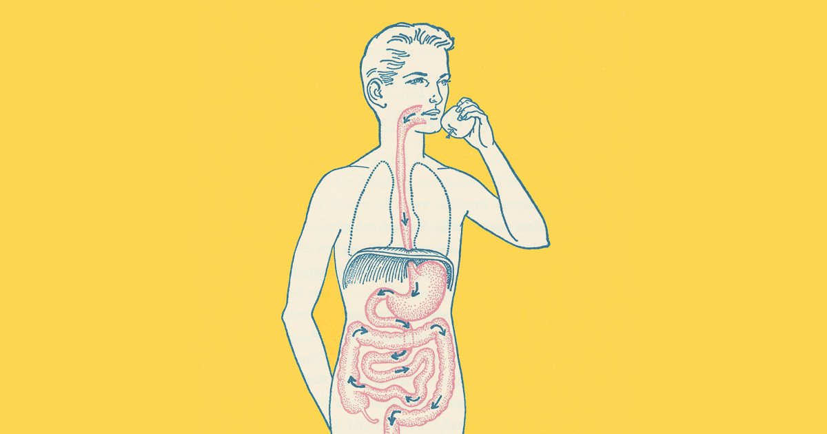 ScrapeoOfficial's tweet photo. Microbiome Startup uBiome Will Seq... https://t.co/mQvNs6kCdd #startup #scrapeo #deals | https://t.co/5rjqU2ORIl https://t.co/8MslVTbU97