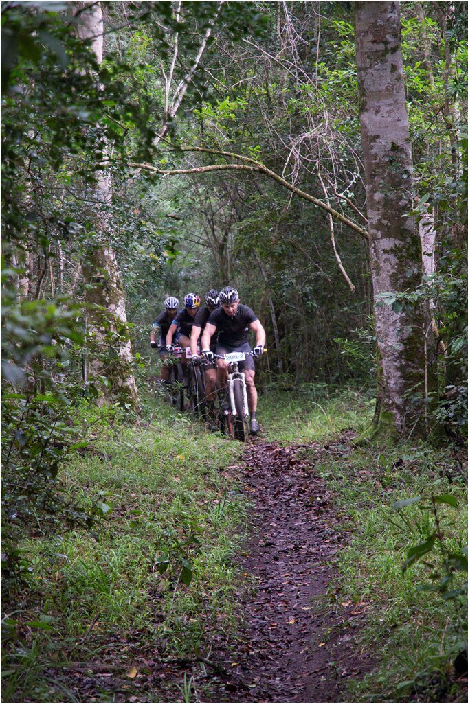 KnysnaGuy tweet media