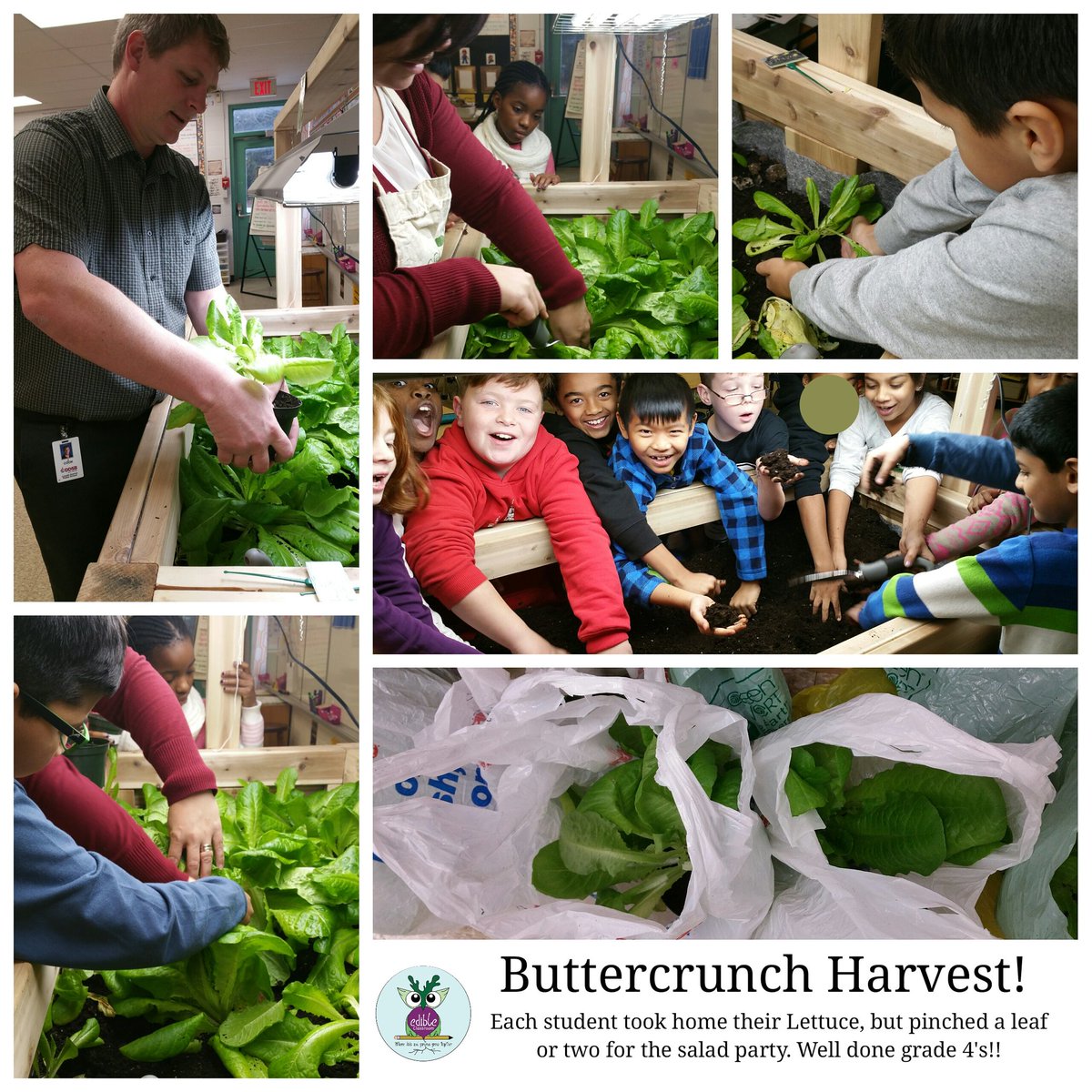 EdibleClassroom tweet picture