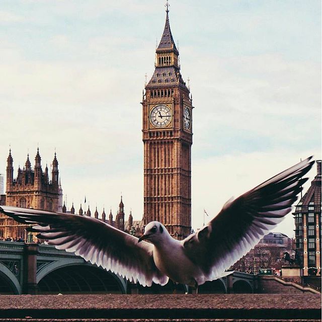 Narcity London tweet media