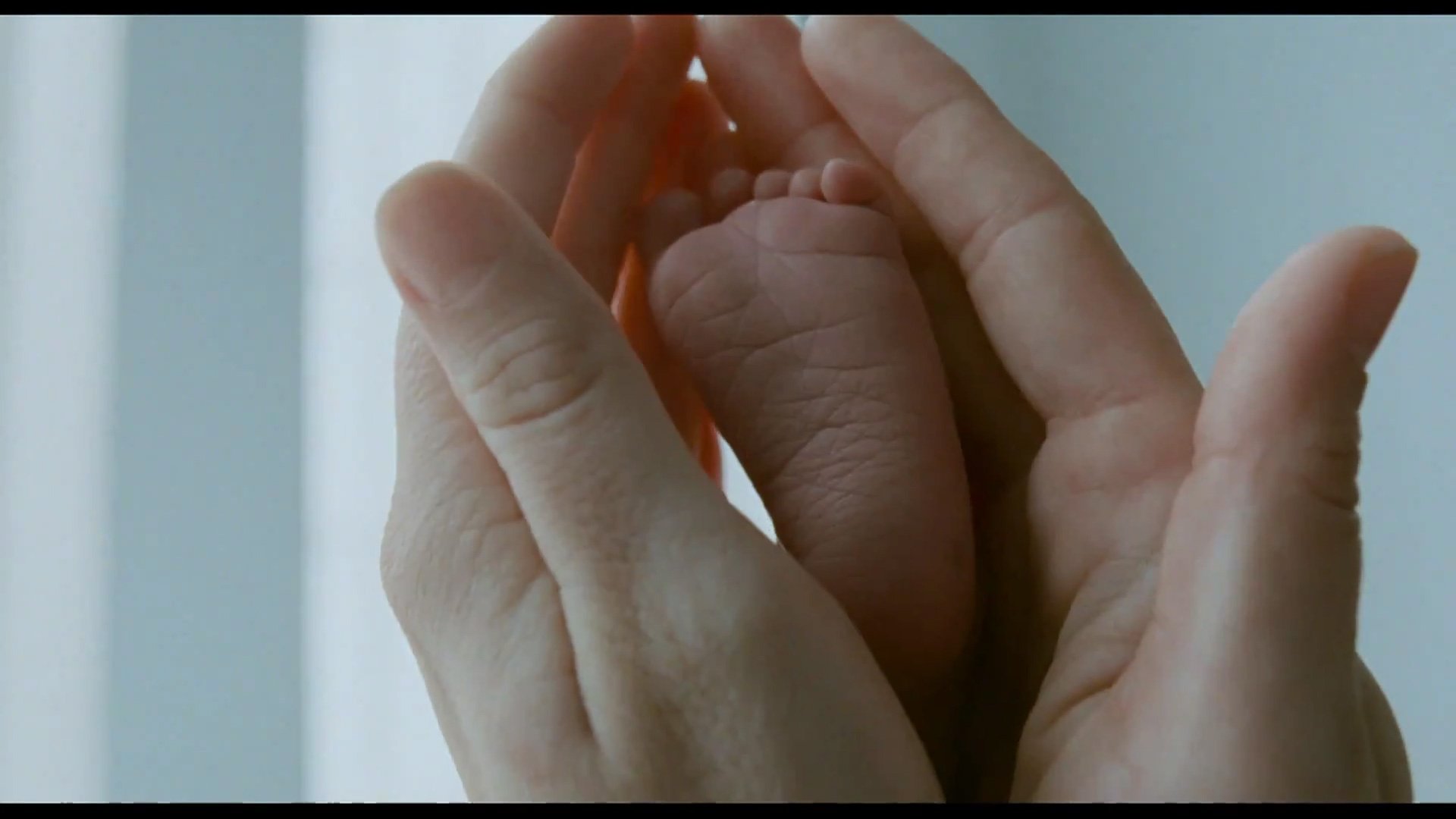 Happy Birthday to Terrence Malick. 