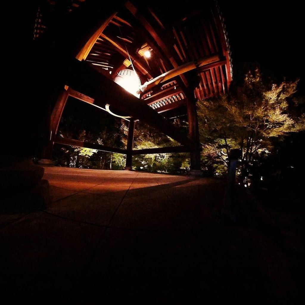 InstaKyoto's tweet photo. 先週の金曜の夜に京都へ。
夜の京都へ行きたいっていう理由で\(^o^)/ #pixprosp360 でスクエアモードで撮影。 by snowylady https://t.co/lsHPAh4DbG https://t.co/kThtTx0uu7