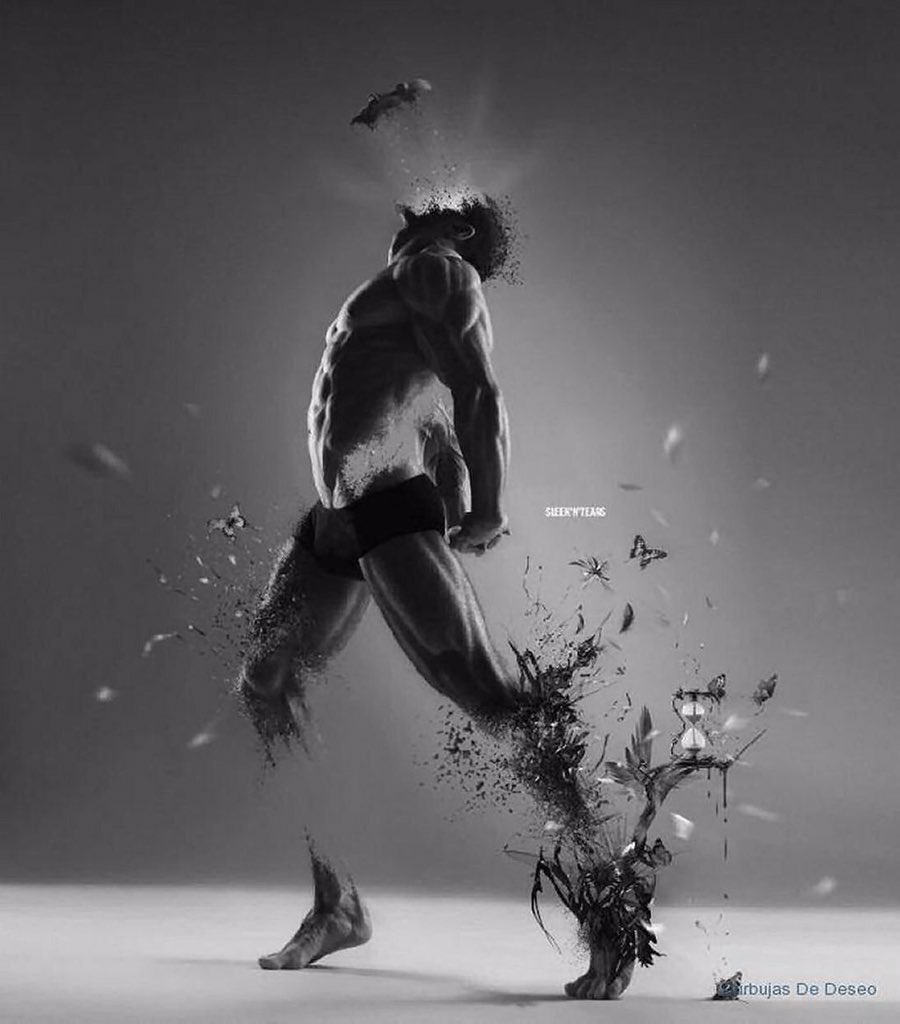 gfredericf's tweet image. 