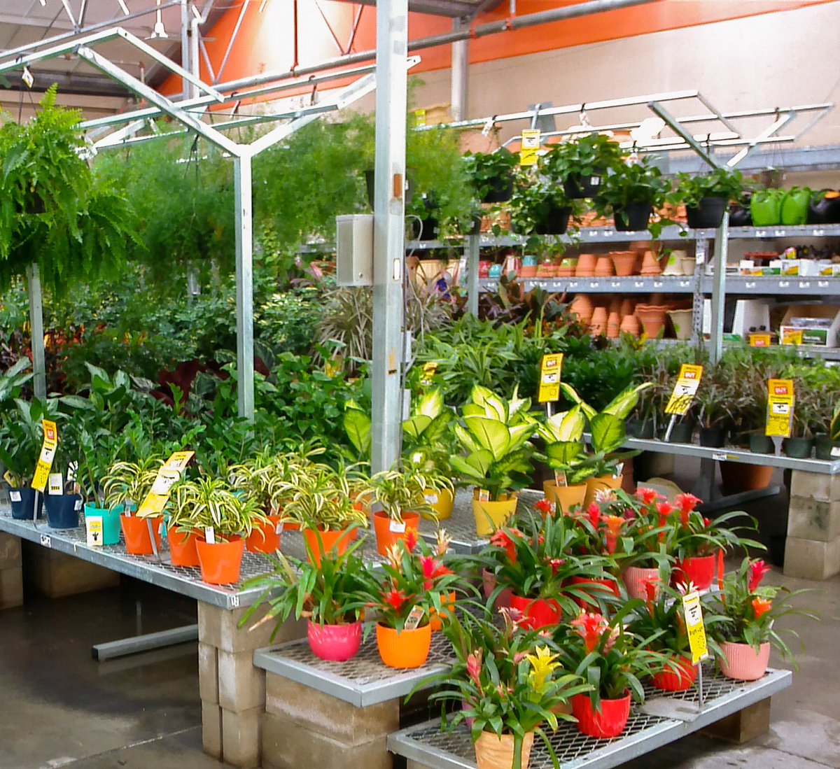 GLNURSERY's tweet photo. Store #122 @JeffGLNursery @LeeGLNursery https://t.co/OPuQEHrYlS
