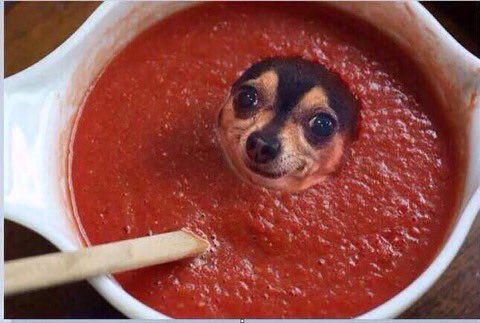 AllMansEat's tweet photo. wise words to follow; don't get lost in the sauce.. https://t.co/1jUMxcVOW9
