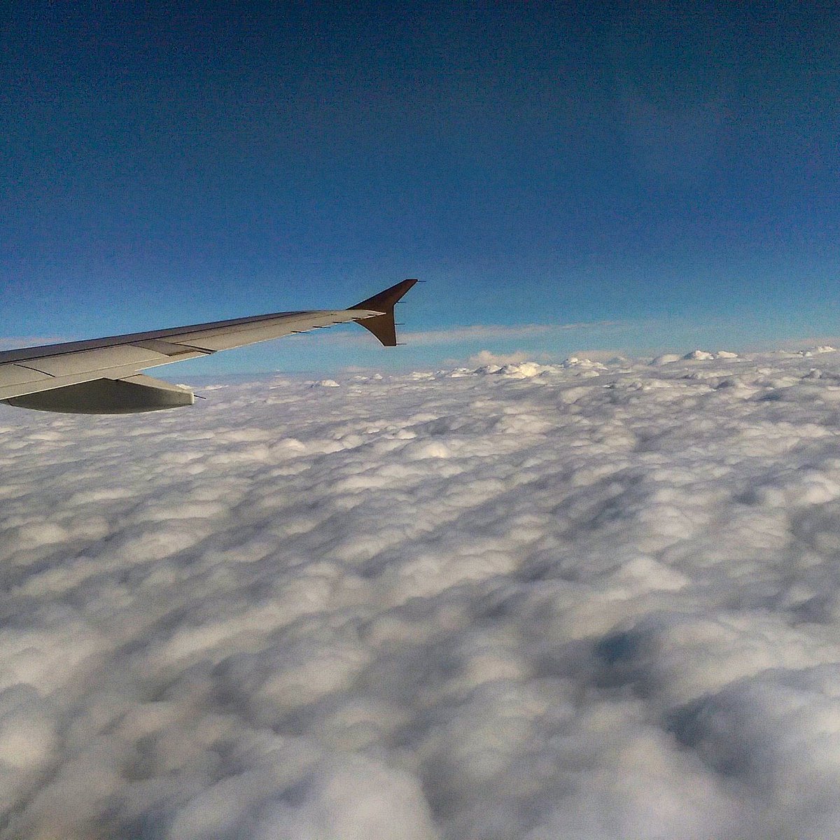 djosullivandjos's tweet image. Bahrain was awesome...see you next time!
#anotherflight #clouds #ethiad #tourlife #bahrain