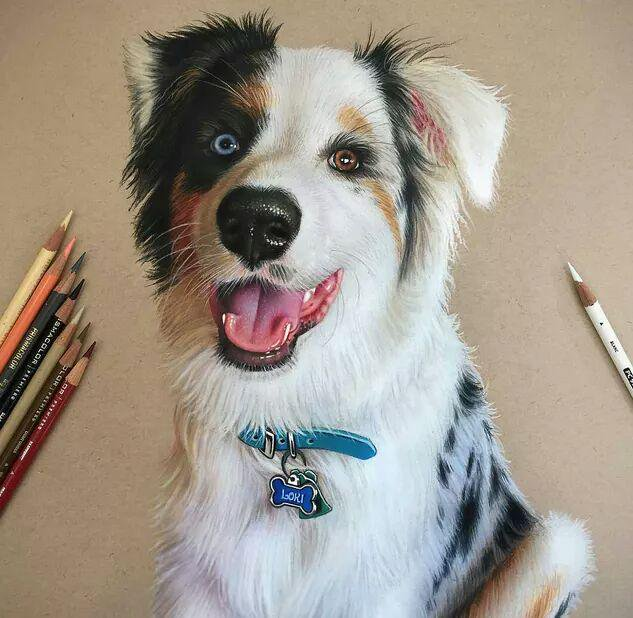 RushaeE's tweet photo. What would you name him? https://t.co/rBj2zLfmsO