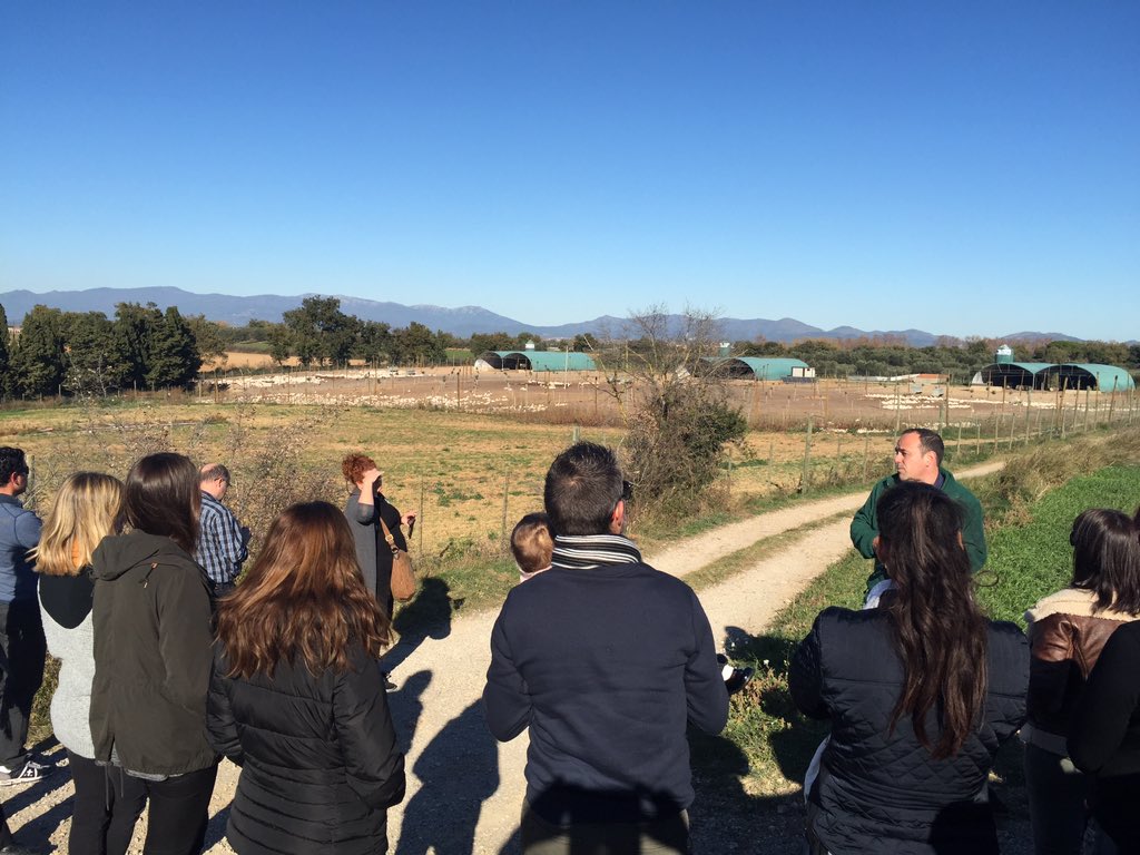 CollVerd tweet media