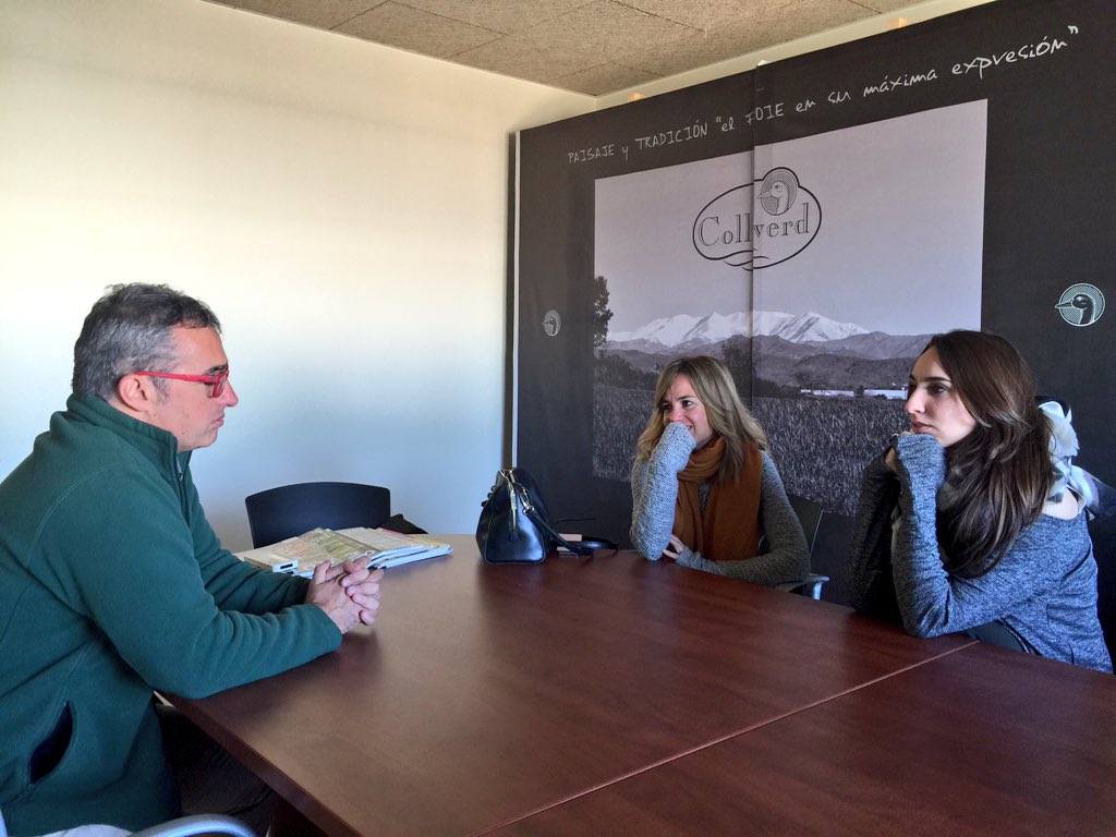 CollVerd tweet media