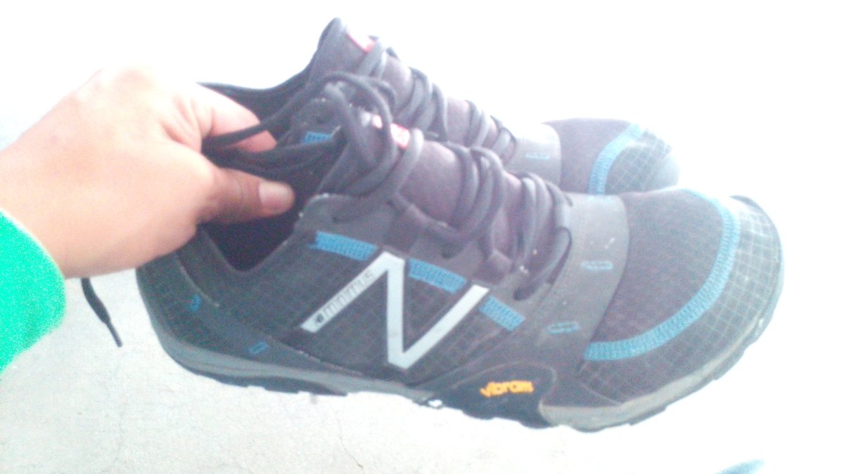 Isaac Celis tweet media