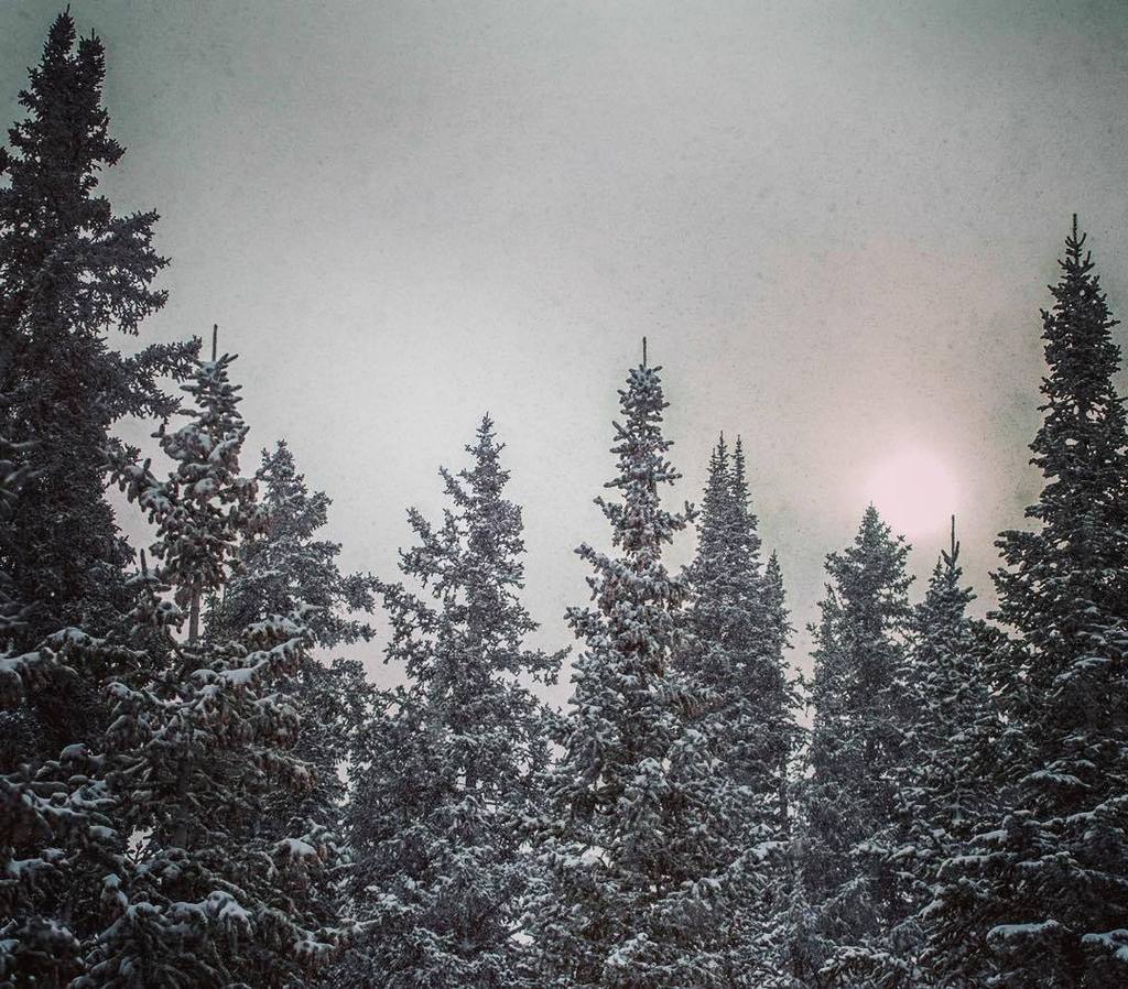 It's a cold and #snowy day here at #coppermtn! 📷: <a href="/trippfayphoto/">Tripp Fay Photo</a> 
#Colorado #ski #snowboard #jj_colorado