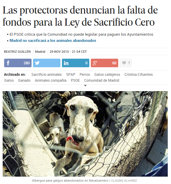 PartidoPACMA's tweet photo. Sólo alcanzaremos #SacrificioCero fomentando la adopción, esterilización y fin de la venta https://t.co/1bCgO5SG9E https://t.co/6BxoUNTYMd