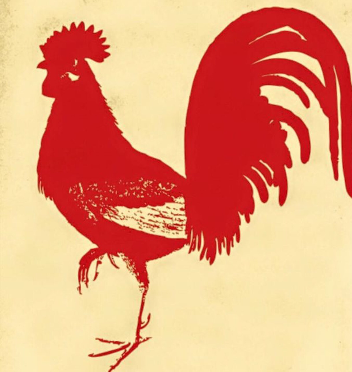 Coming soon to <a href="/Steamuplands/">Squirrel Uplands</a> #Chook! Buttermilk fried chicken | Hot Wings | Fries | Cold beers | Live Music #Uplands