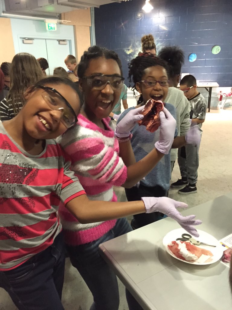 Mr. McIntosh tweet media