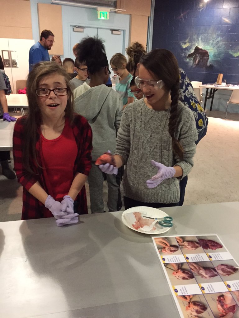 Mr. McIntosh tweet media