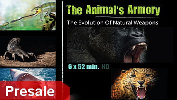 #Animal Armory: Witness the evolution of nature's most powerful weapons!  - bit.ly/1MZOgn1