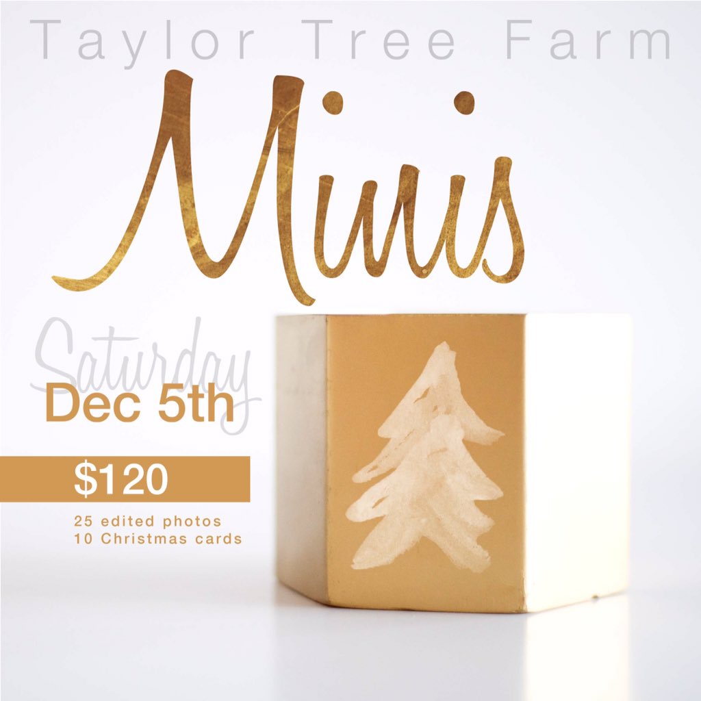 christidesign's tweet photo. Don't forget! Tree farm mini-sessions are THIS SATURDAY!! Email me for more details. https://t.co/nxeu0PDGee