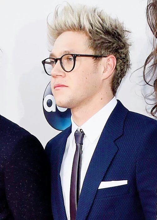 aviya453201's tweet photo. In loving memory of niall horan he ain't dead i just love to remember him https://t.co/94E5szHNE6