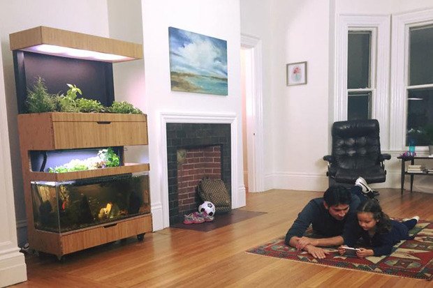 Smart_Home_IQ's tweet photo. Grove Labs brings its fish-powered smart indoor garden to Kickstarter https://t.co/D3pIdqymmM https://t.co/E6RNDRFISo