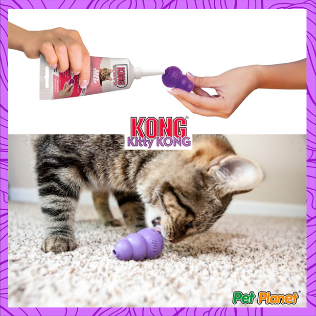 PetPlanetMex's tweet photo. ¡Usa su naturaleza curiosa para diseñar los mejores juegos!

A ellos les encantará. ;) https://t.co/EjcOMXuc9K