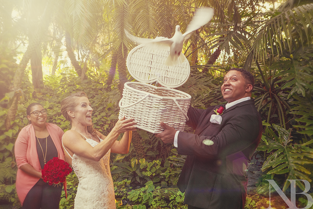 TheCooperEstate's tweet photo. The white #dove is such a #beautiful addition to any #wedding! #TheCooperEstate #Miami #Venue #Brides #Grooms https://t.co/YoMCZ6pNkc