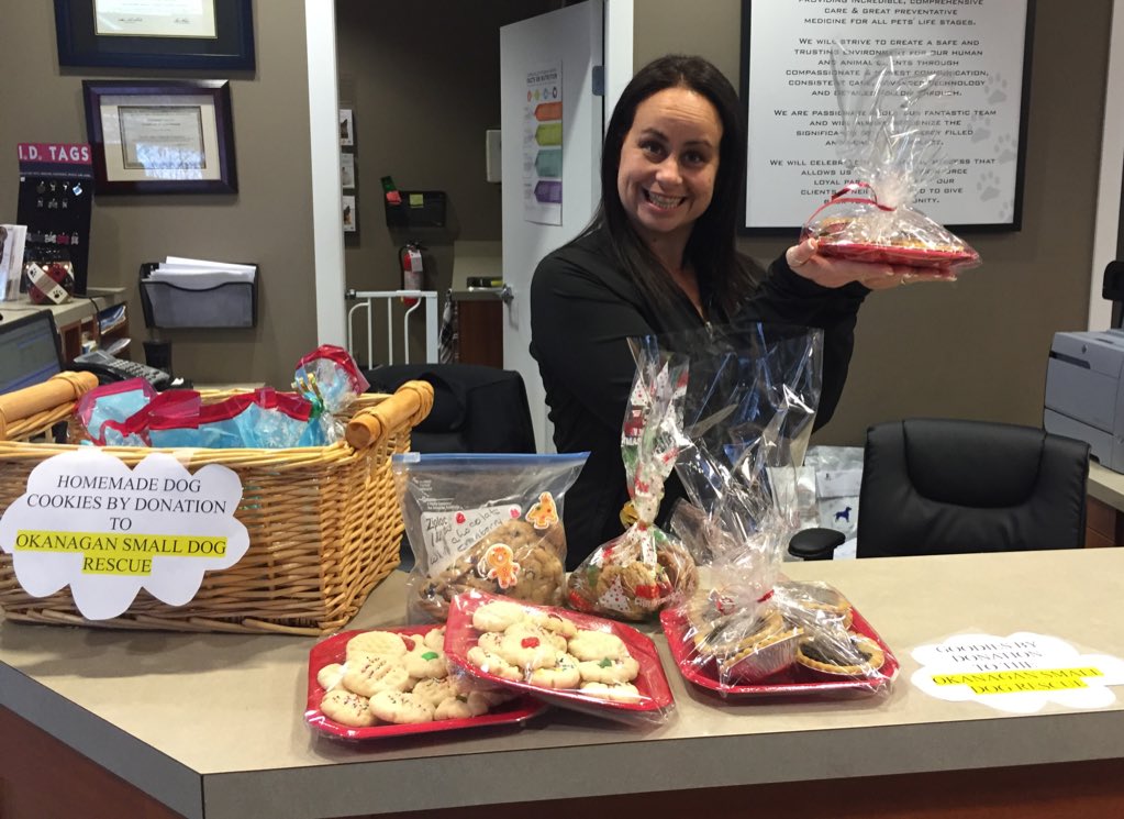 CntrlValleyVet's tweet photo. Homemade baked goodies and dog treats by donation to @osdrescue! Stop by for some XMas baking! 😊 #okanagan https://t.co/o8UpLW8jHy