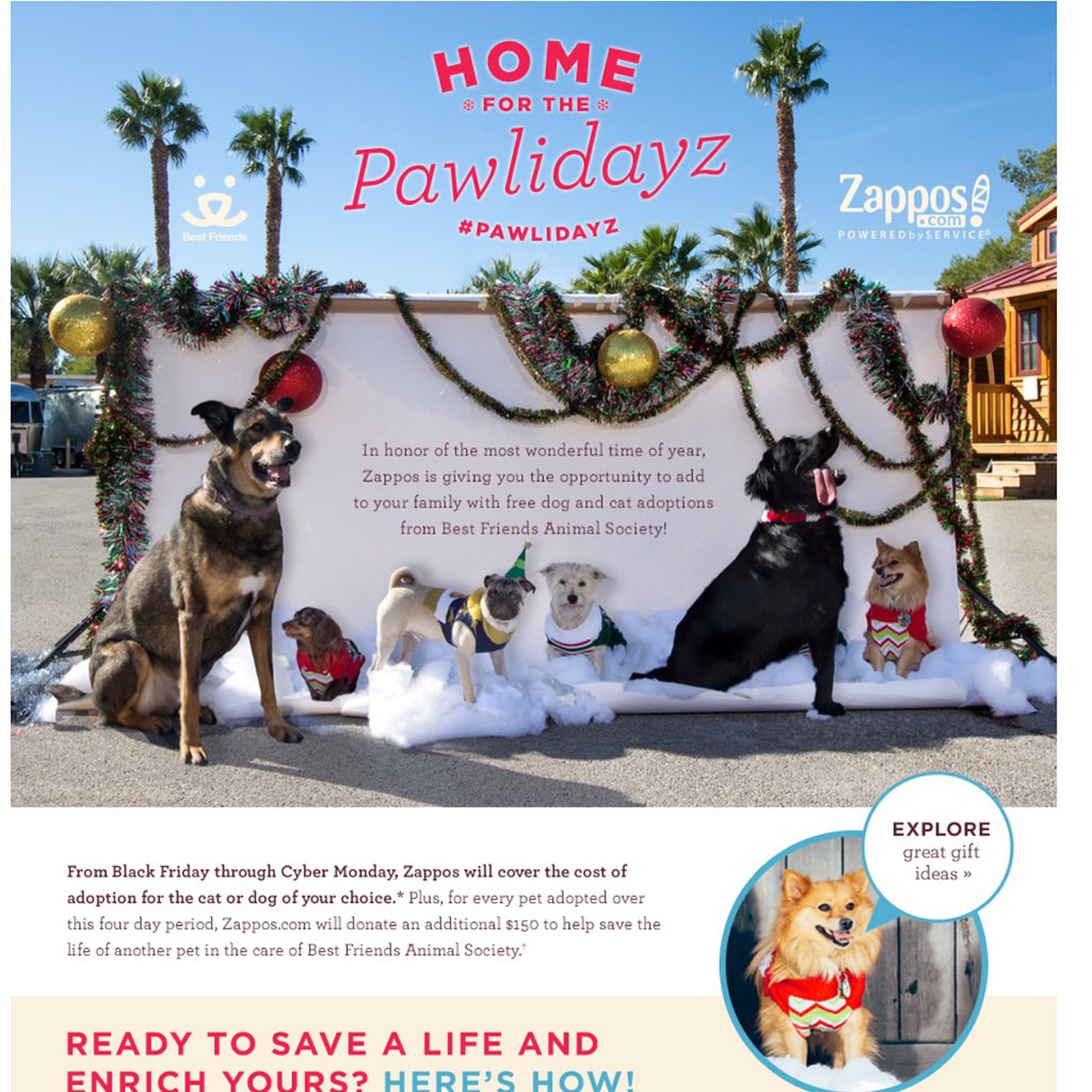 charissejanae's tweet image. @WhoopiGoldberg please #Rt today is the last day for #pawlidaz free pet adoptions at Zappos.com/pets