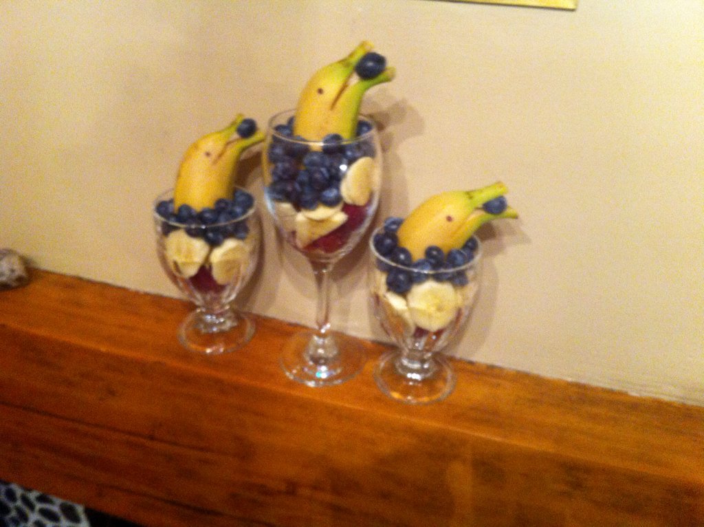 BarnardsAdventures tweet media