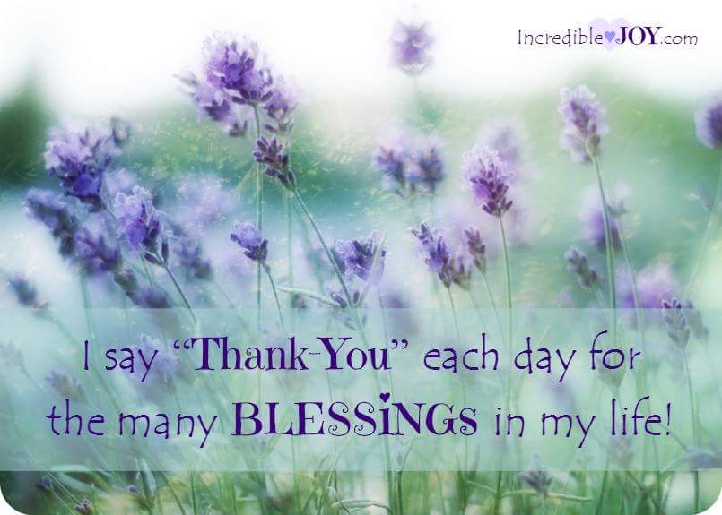 Claudia Estrada (@harmonylavender) on Twitter photo 