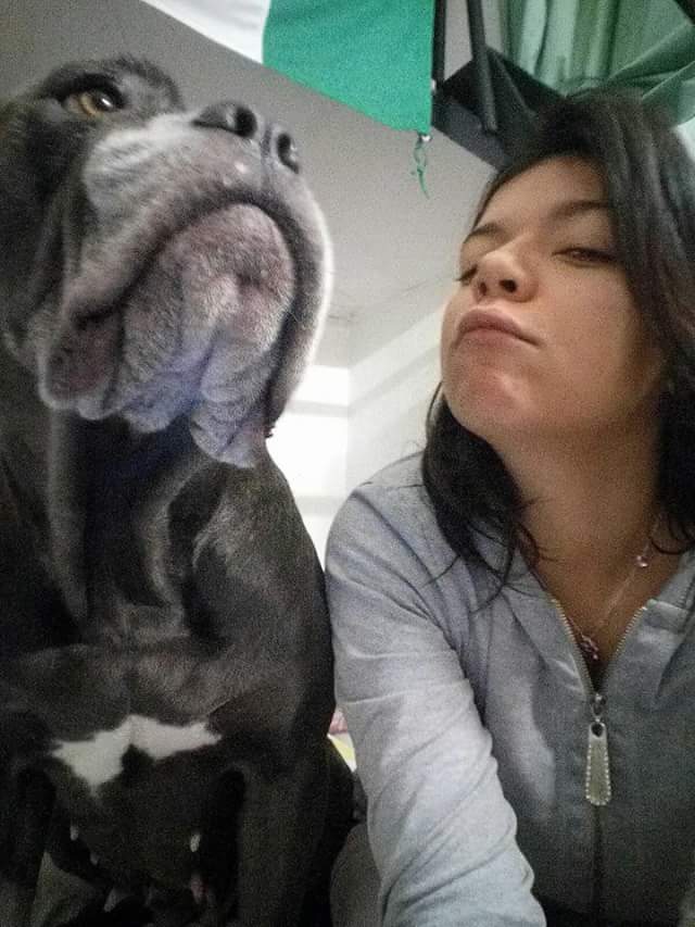 Un saluto da me e Maya... #canecorso #ladanilinda