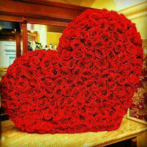 a01052805070's tweet photo. @AMlzner 
You too...
Sweet dreams~
See you later... https://t.co/DsyLsgvPDp
