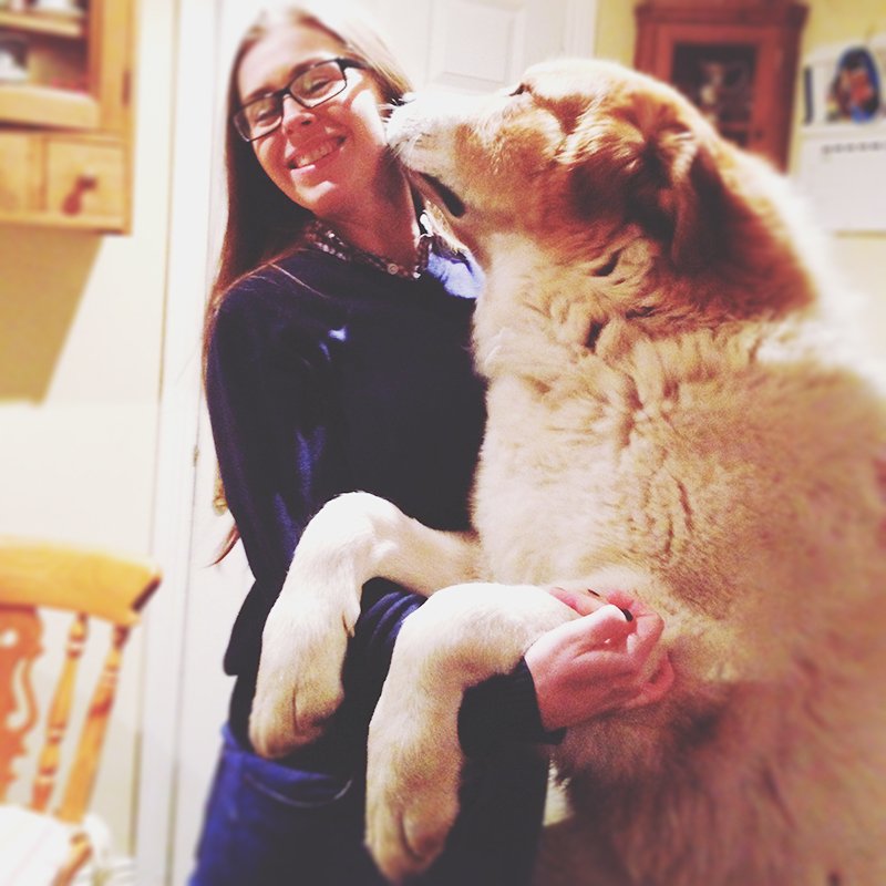 Mooshoo our #bff &amp; #mascot going to bed :-) But #goodnight kisses 1st! #sainttbernard #greatpyrenees #saintpyrenees