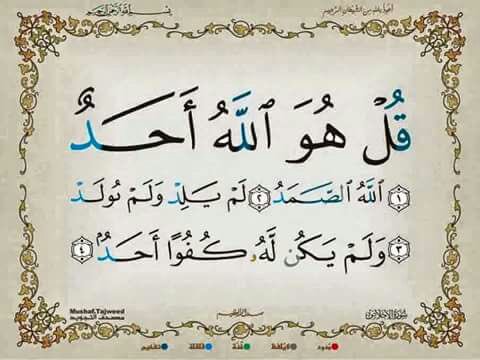 ☆*:.｡. o(Haider)o .｡ (@o_haidero1) on Twitter photo 