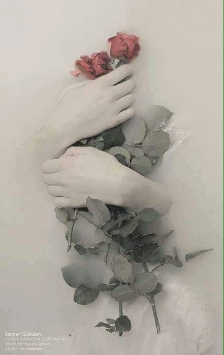 ☆*:.｡. o(Haider)o .｡ (@o_haidero1) on Twitter photo 