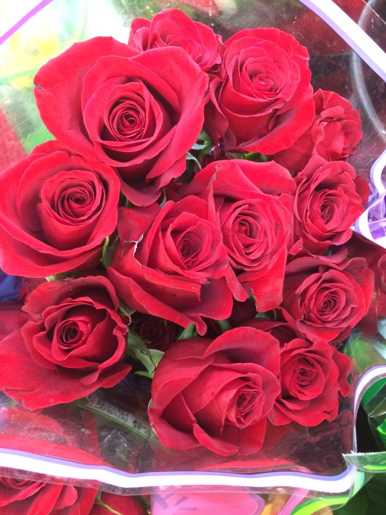Adonis12015's tweet photo. @MohmmadFade https://t.co/cvGxDL2oIx