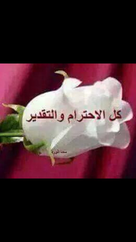 Adonis12015's tweet photo. @MohmmadFade https://t.co/DhCS1sImhv