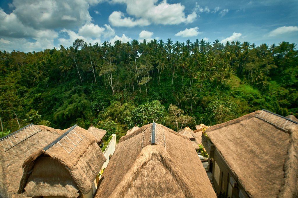 Surveying the landscape above Ubud before venturing into the jungle. #bali