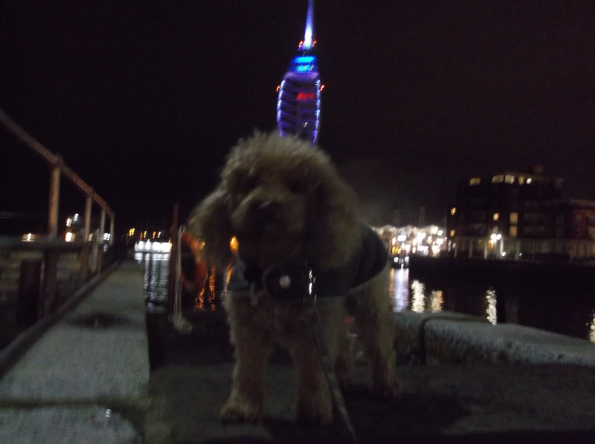 Martin Marsden (@martinmj) on Twitter photo 