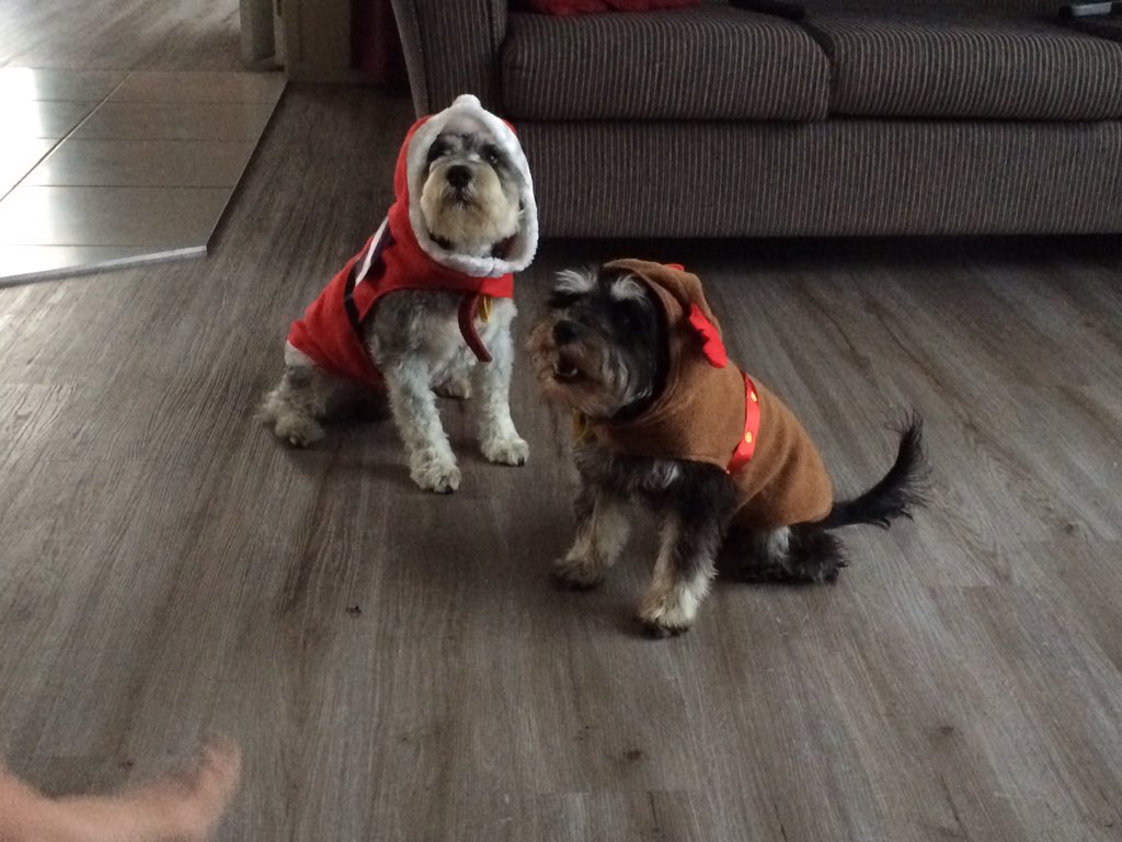 BeksChar's tweet image. First day of December