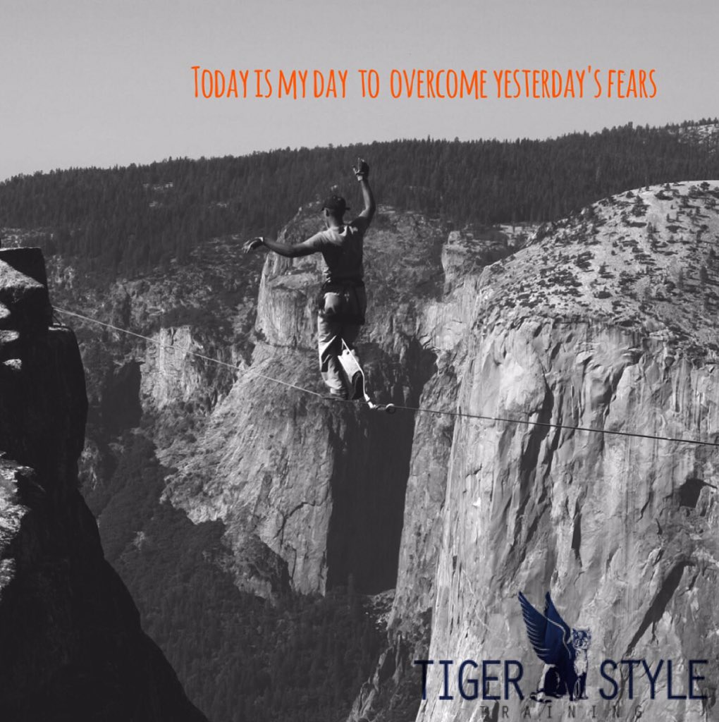 TigerStyleTrain's tweet image. "What is the biggest thing that stops people from living their lives in the present moment? Fear." -Brian Weiss
