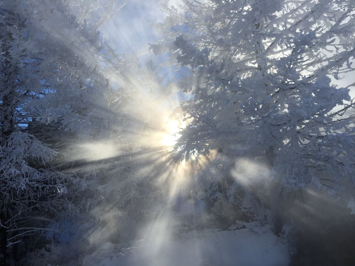 When steam combines with sunlight and frosted trees, magic happens. Mammoth Hot Springs, mid-afternoon.