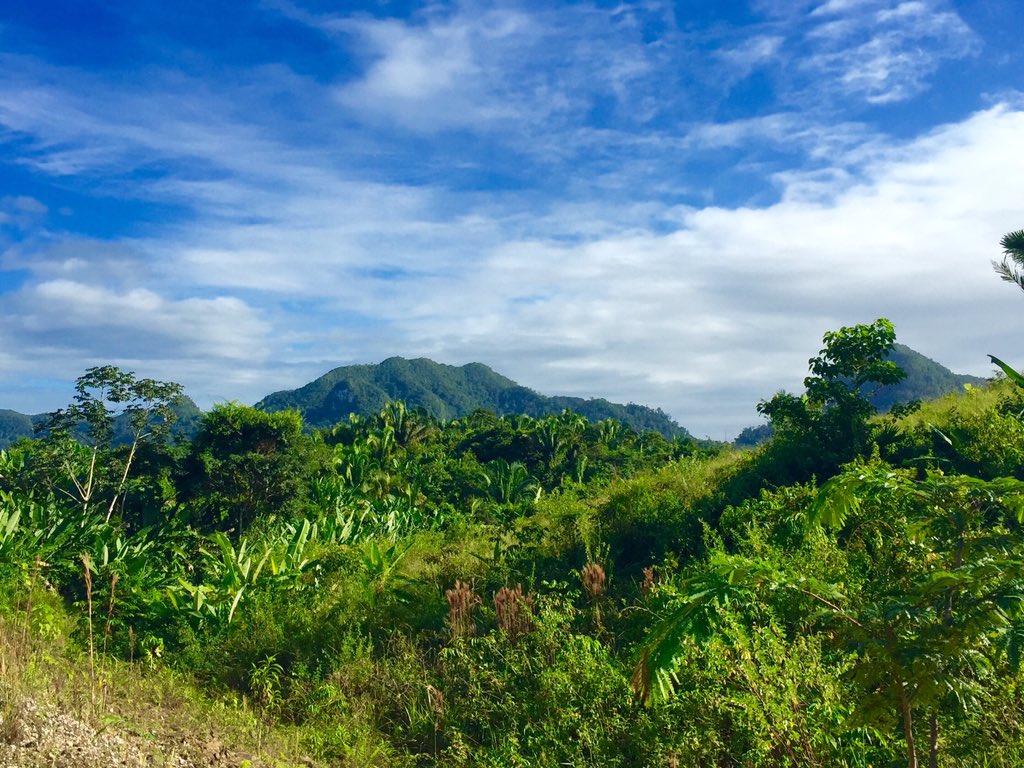 phtravel's tweet photo. Sun is out in the wilds of Belize Deep South. Jungles, Maya villages are chocolate making. #lpinbelize https://t.co/WQTy8NpgsF