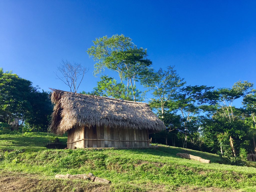 phtravel's tweet photo. Sun is out in the wilds of Belize Deep South. Jungles, Maya villages are chocolate making. #lpinbelize https://t.co/WQTy8NpgsF
