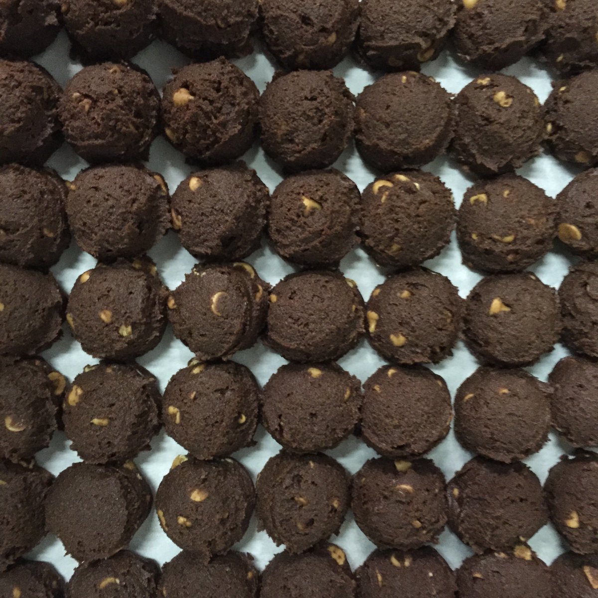 AlpineInfusions's tweet photo. “There is nothing better than a friend, unless it is a friend with chocolate.” #alpineinfusions #KOTOcookie https://t.co/pTQckZbUnz