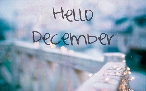 afni_zp's tweet photo. Selamat pagi desember ヽ(*≧ω≦)ﾉ https://t.co/1qMq3sYl33